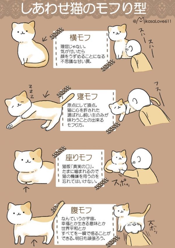 あなたのモフはどれから？猫さんを「モフる」4つの型がどれも良すぎて選べない - Togetter [トゥギャッター]