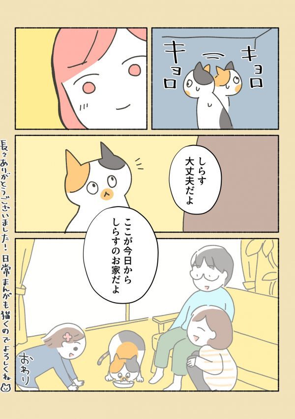 子猫希望だったけど、ビビっときてしまった」4歳の保護猫をお迎えするまでを描いた漫画が泣けるし学ぶことが多い (2ページ目) - Togetter  [トゥギャッター]