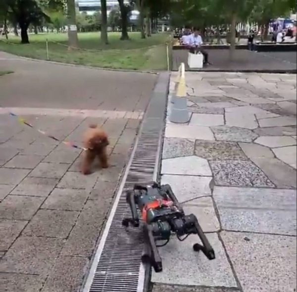 鳥山ロボット 犬散歩 40周年 （ハイアット セントリック 銀座