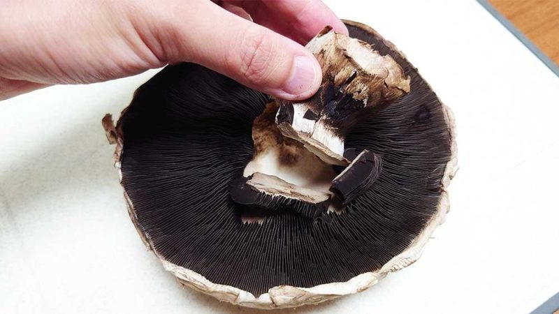 スーパーで「馬鹿みたいにデカいマッシュルーム」を見つけたので、買っ